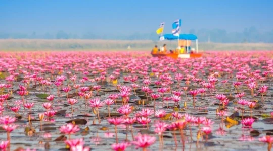 タレーブアデーン